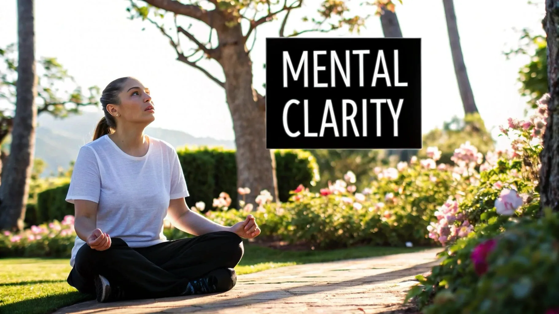Unlocking Mental Clarity and Cognitive Excellence